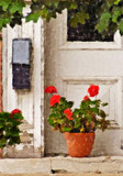 Fototapeta Uliczki - geraniums at doorway