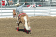 mexican cowboy doing rope trick on horseback