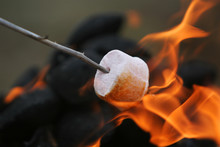 Fire Roasted Marshmallow