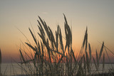 Fototapeta Natura - sunset beach