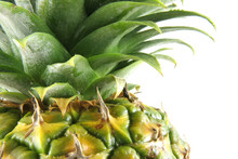 Pineapple Close-up