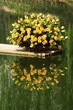 Leinwandbild Motiv yellow roses