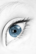 © SANKOWSKI.IT - blue eye