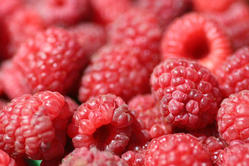 raspberry