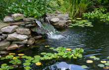 Homemade Pond