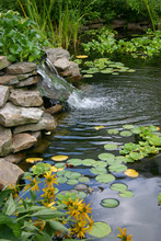 Small Man Made Pond And Waterfall