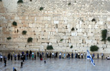 Fototapeta Koty - the western wall in jerusalem