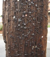 Nails In Utility Pole