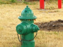 Green Fire Hydrant