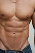 © Vladimir Wrangel - muscular male torso