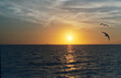 florida sunset - gulf coast