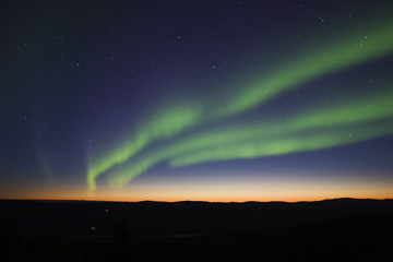 Wall Mural - 3 aurora strips over twilight