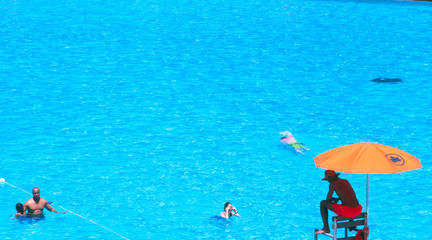 Canvas Print - public pool in central park