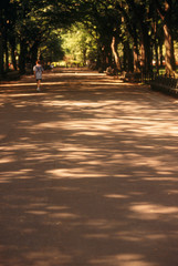 Canvas Print - central park new york city