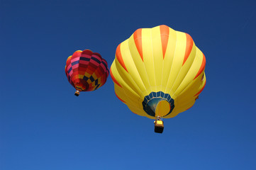 hot air balloons in flight