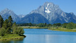 oxbow bend in the summer