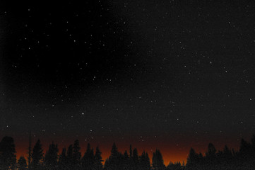 haunted forest-fire