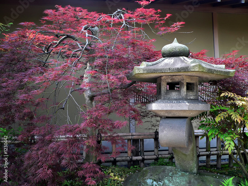 Naklejka dekoracyjna japanese garden