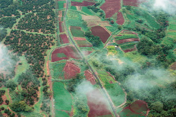 big island aerial shot - rain forest