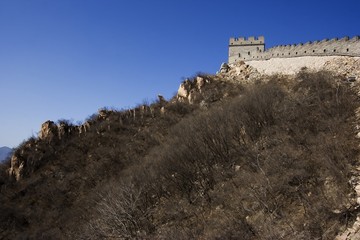 Wall Mural - the great wall