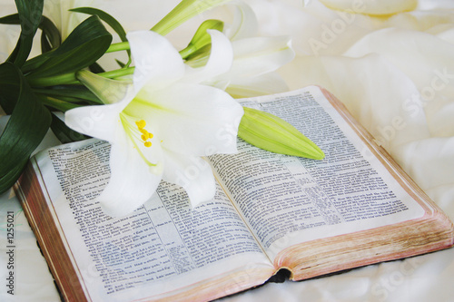 Zdjęcie XXL Wielkanocna lilia i Biblia