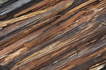 Wall Mural - old wood texture