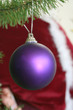 Purple Ornament