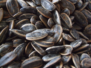 sunflower seeds