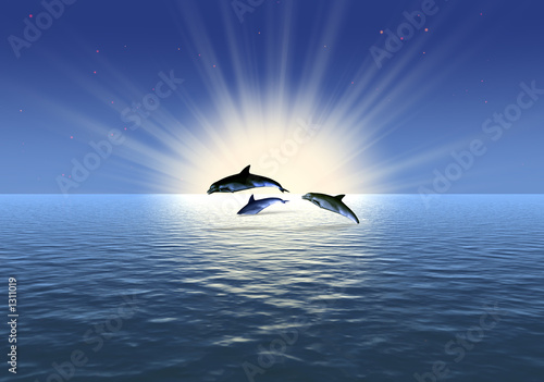 Foto-Fußmatte - three dolphin (von Olga Galushko)