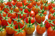 0509-tomates 
