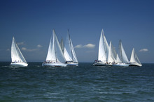 Start Of A Sailing Regatta