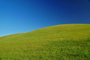 rural spring countryside