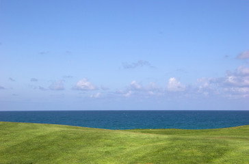 Wall Mural - green field
