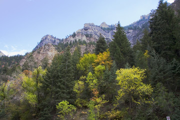 Wall Mural - fall in high mountains