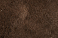 Bison Fur Beta