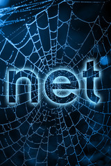 net