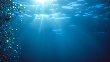 underwater sunlight