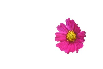 Wall Mural - cosmos