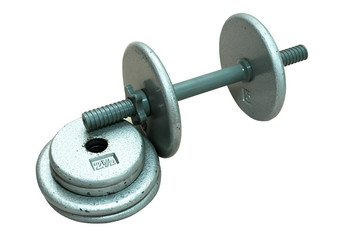 dumbbell with extra plates 2