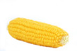 corn cob isolated