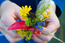 Autumn Colorful Forest Bouquet In Child Hand
