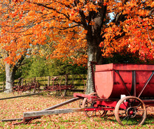 Autumn Farm Display