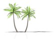 canvas print picture - 2 palmen