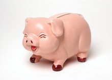 Laughing Piggy Bank On White