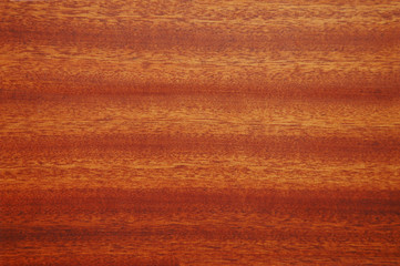 Wall Mural - texture of polished wooden surface