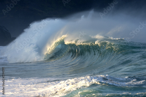 Fotovorhang - wave (von NorthShoreSurfPhotos)