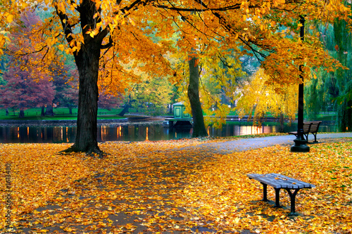 Naklejka - mata magnetyczna na lodówkę autumn in boston public garden