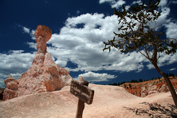 thor's hammer on queens garden hiking trail