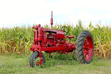 Antique Red Tractor And Corn