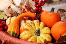Thanksgiving Fall Harvest